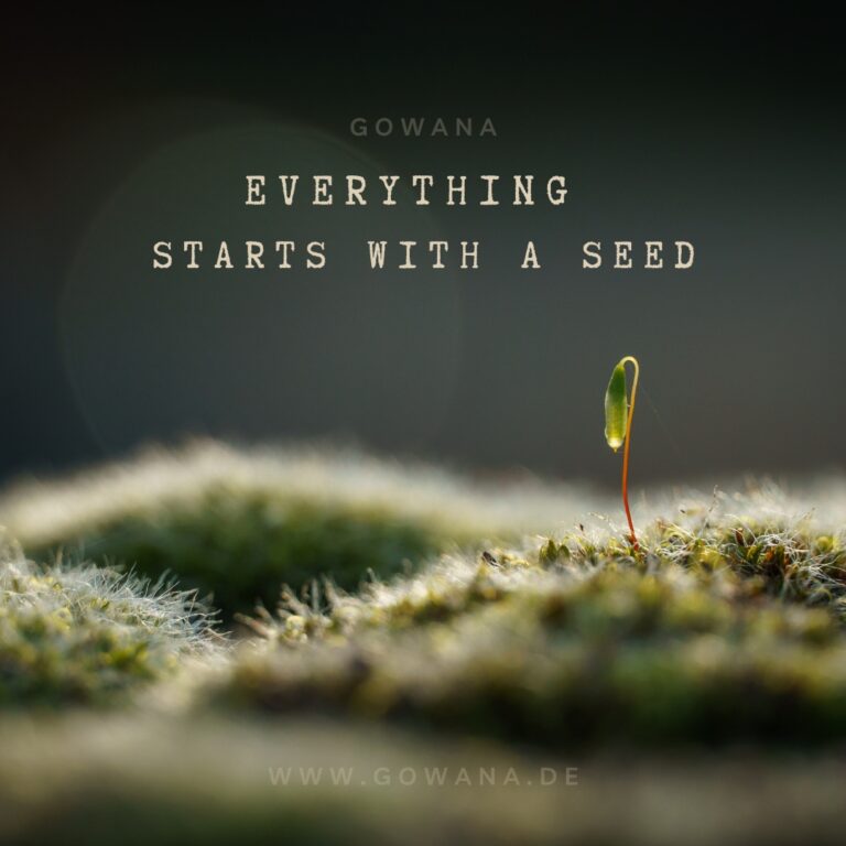 Everything starts with a seed, an idea.